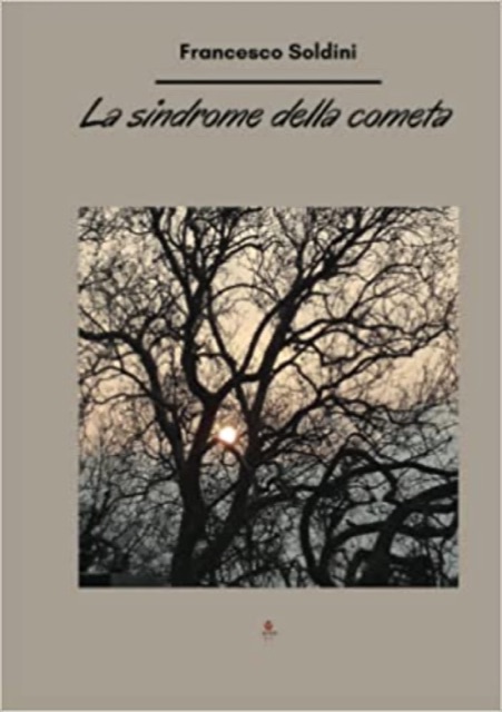 Copertina di «La sindrome della cometa» di Francesco Soldini