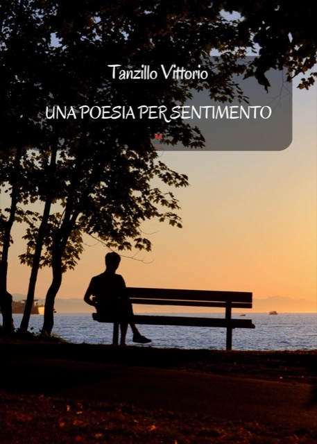 Copertina di «Una poesia per sentimento»